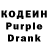 Кодеиновый сироп Lean Purple Drank Zhanya Seilkhanovna