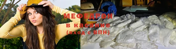 индика Алексеевка