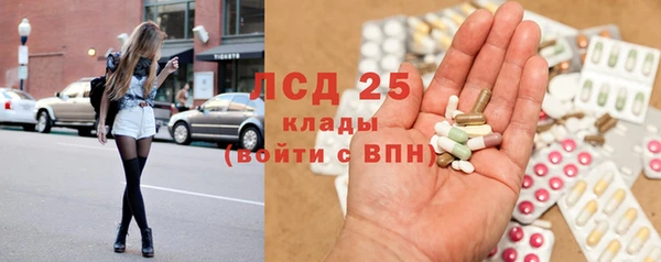 индика Алексеевка