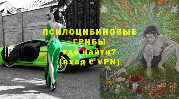 индика Алексеевка